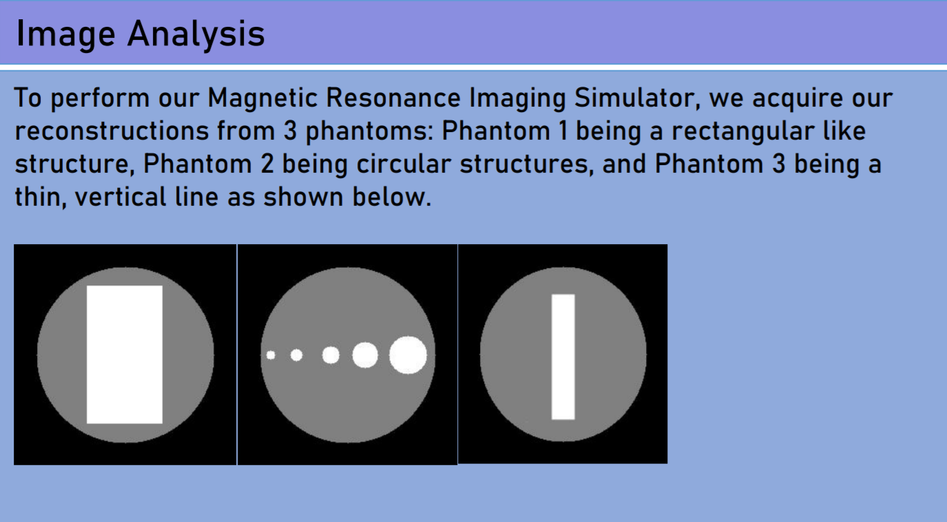 picture of MRI image